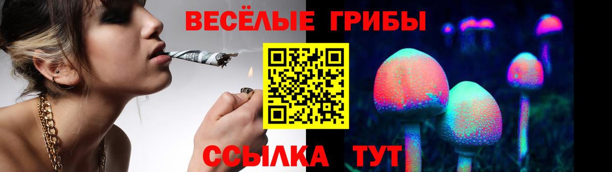 Топки  Галлюциногенные грибы MAGIC MUSHROOMS  Вход с VPN 